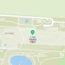 세마 사슴 이미지