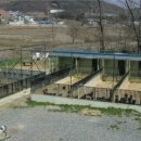 베르네집 이미지