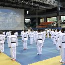 솔로몬태권도 이미지