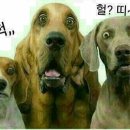 헐