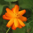 태백고원 700 산소길 이미지