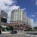 펠리시티2차 이미지