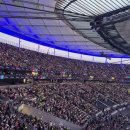 세중인터내셔날 이미지