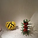 글라스뮤지엄 이미지