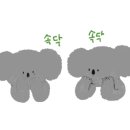 금정반점