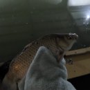 캠피그라운드 이미지