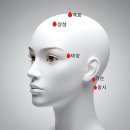 두피랑피부랑
