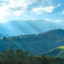 넘버원리얼티공인중개사사무소 이미지