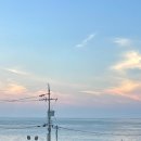 아마스빌 리조트 이미지