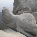 구룡대매표소 이미지