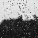 꿈꾸는 가 이미지