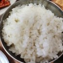 산청돼지국밥 | 경남 산청 명성돼지국밥 솔직 후기