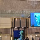 아모르에뗄 이미지