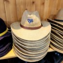 제주성산공인중개사사무소 이미지