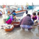 계도어촌체험마을 이미지