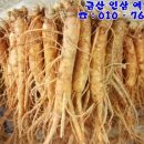 금산인삼 이미지
