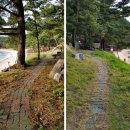 쉼이있는자유 이미지