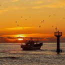 동해일출 이미지