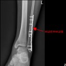 대한민국행정사 이미지