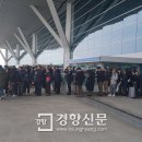 또 줄서기 셔틀버스 입석운행 비싼음식 부실 인천공항 제2터미널 운영 미흡 이미지