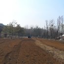 탄현공원 이미지