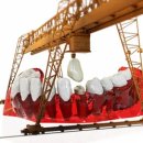 서울백세치과의원 이미지