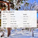 H-071 | 삿포로 2월 날씨 여행 준비물 신발 옷차림 추천