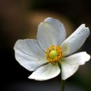 들꽃산장 이미지