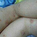 진인어린이집 이미지