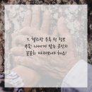 루트헬스