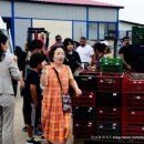 박성태농장 네이버블로그