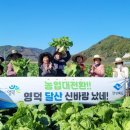 경북영농 이미지