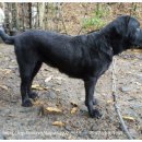 숙이농장 이미지