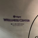 별을 담다 | 강원도 정선 하이원 웰니스 네이처힐링존 숲속걷기 별을담다+족욕체험 후기