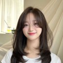 어뮤트 네이버블로그