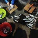 바다와 하루이틀 이미지