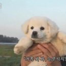 없음 이미지