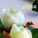 신의축복 Daum카페