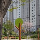 미리내어린이공원 이미지