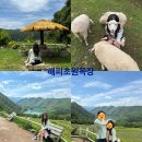 해피목장 네이버블로그