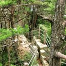 명산회관 Daum카페