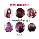 세이루 노블리 염색약으로 2023'비바마젠타'컬러 연출하기 이미지