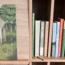 온리앳오운리 이미지