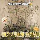 3472 | 대전 신세계 백화점 브런치 맛집 익선잡방 후기