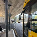 팰리스호텔 | 마카오 레전드 팰리스 호텔 후기 | 페리 선착장과 가까운 가성비 호텔 마카오 시내버스 타는 법 셔틀버스