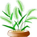 어린이대공원후문아차산역 이미지