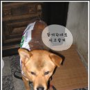 이새 - 충주시 중앙로 74 | 이새