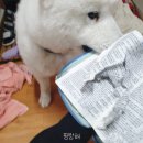 성락침례교회 | 크리스천 세계 선교 센터 서점, 성경책 구매 후기