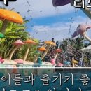 제이.제이오락실 이미지