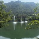 동구리호수공원잔디광장 이미지